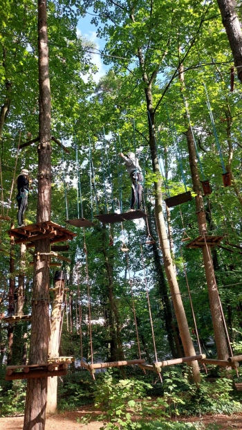 00ec2a1e-4c79-4d08-8b58-090af279d987