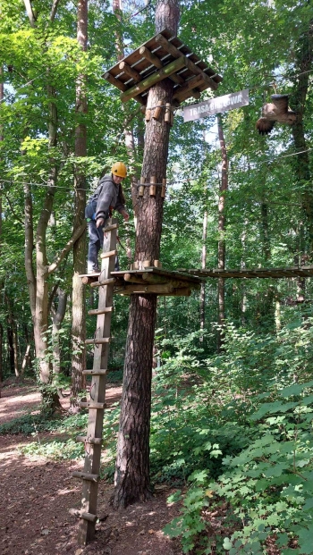 3cc3cd29-8e19-454e-850d-ef36071806b1