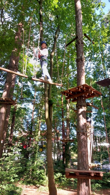 4917eb64-f91c-4053-9023-be1e45ff3971