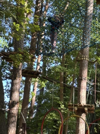 ddb63219-1549-40b5-a61e-767d968259db