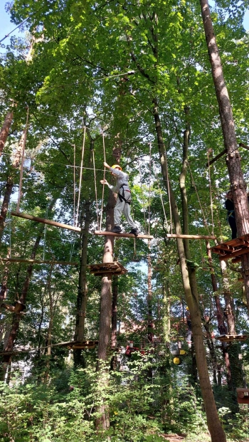 e88d3e19-b18c-4837-a57d-cd7d9be2b5ab