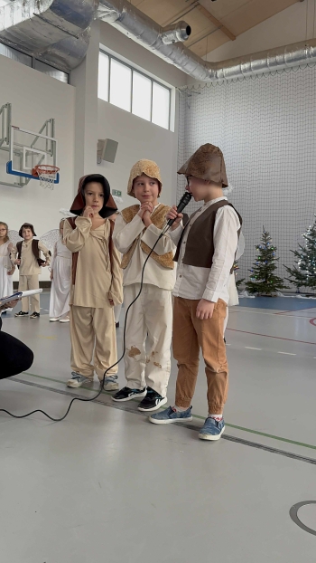 7278595a-5658-4788-870e-50491b806c20