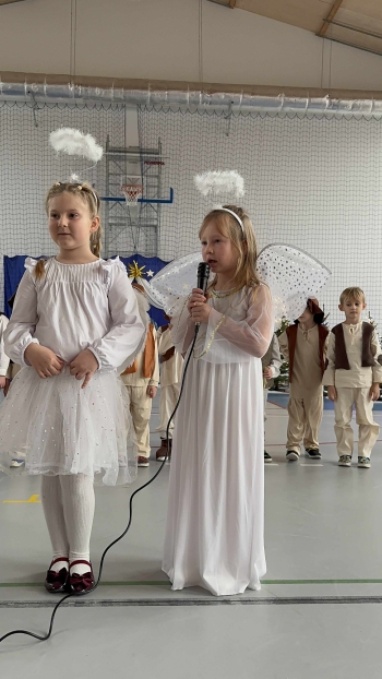 54163034-0824-47e7-b6db-5a69dfb06082