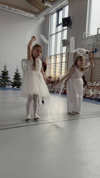 c8ff4102-e93e-4b50-b128-366184f28a37