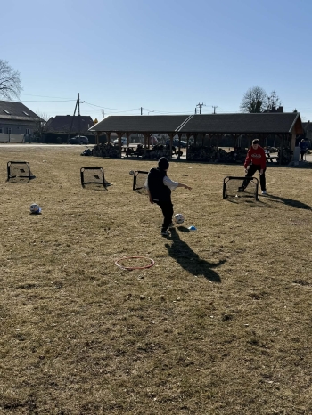 e51990e0-1379-490a-9939-89b16fb6f555